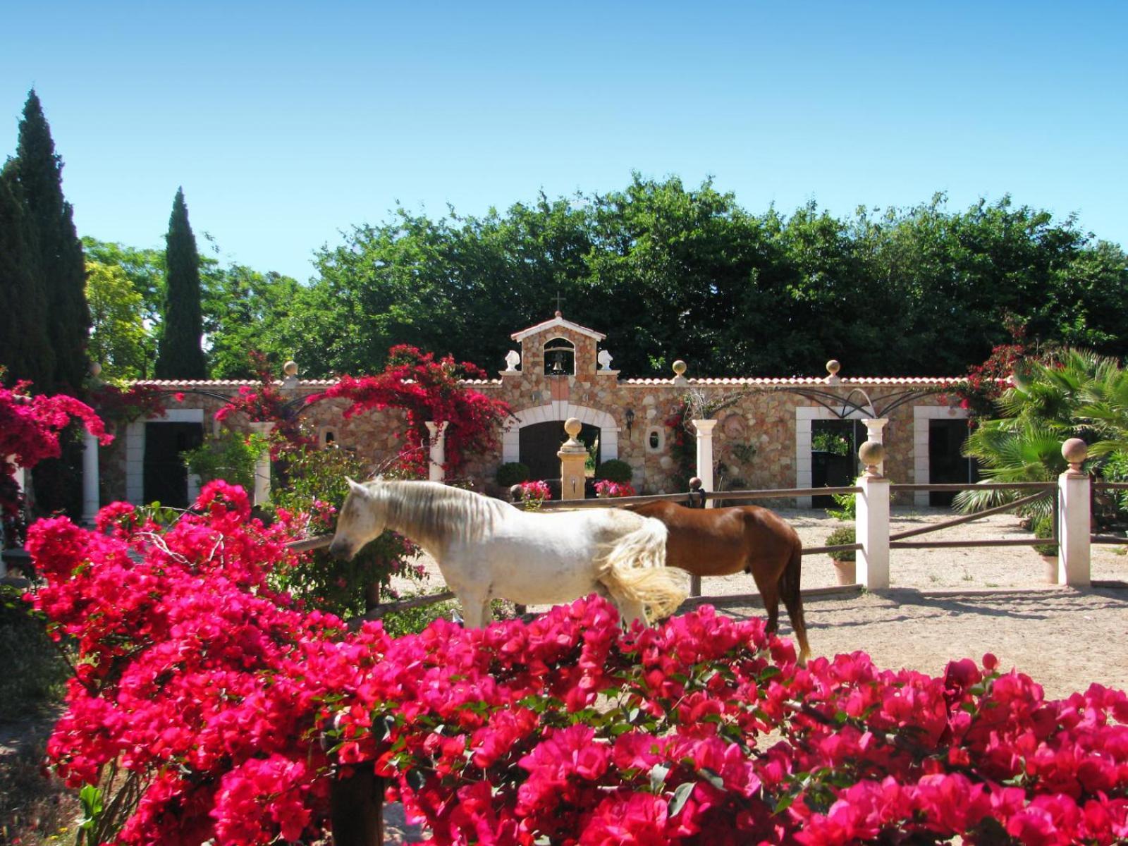 Ferienhaus Santa Lucia
